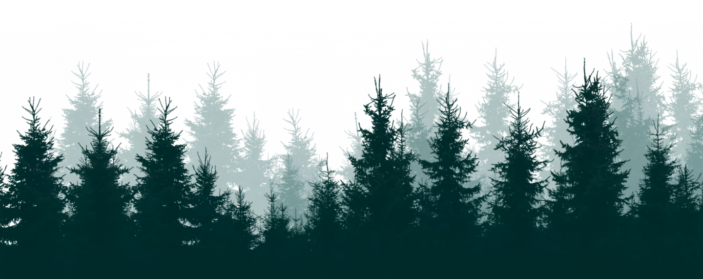 Footer decoration